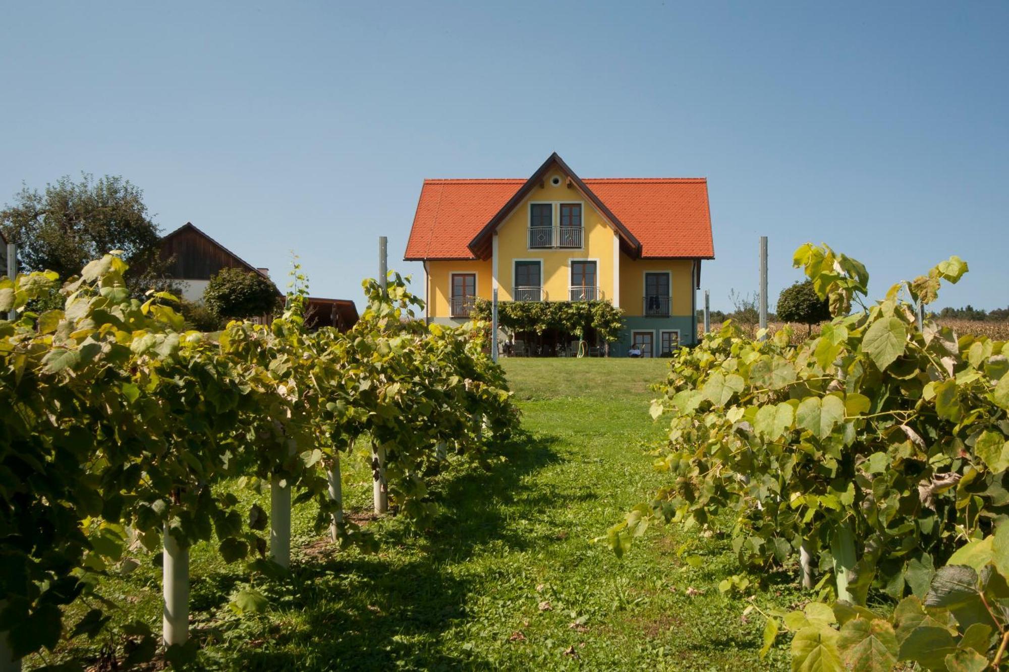 Weingut Winzerhof Gaestezimmer Grebenz Grossklein ภายนอก รูปภาพ